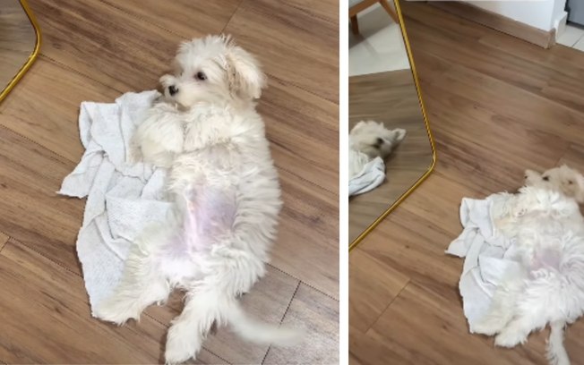 7bieglgxe4gamux6u6rdblsiw