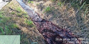 Carga química deixa córrego rosa e suspende captação de água