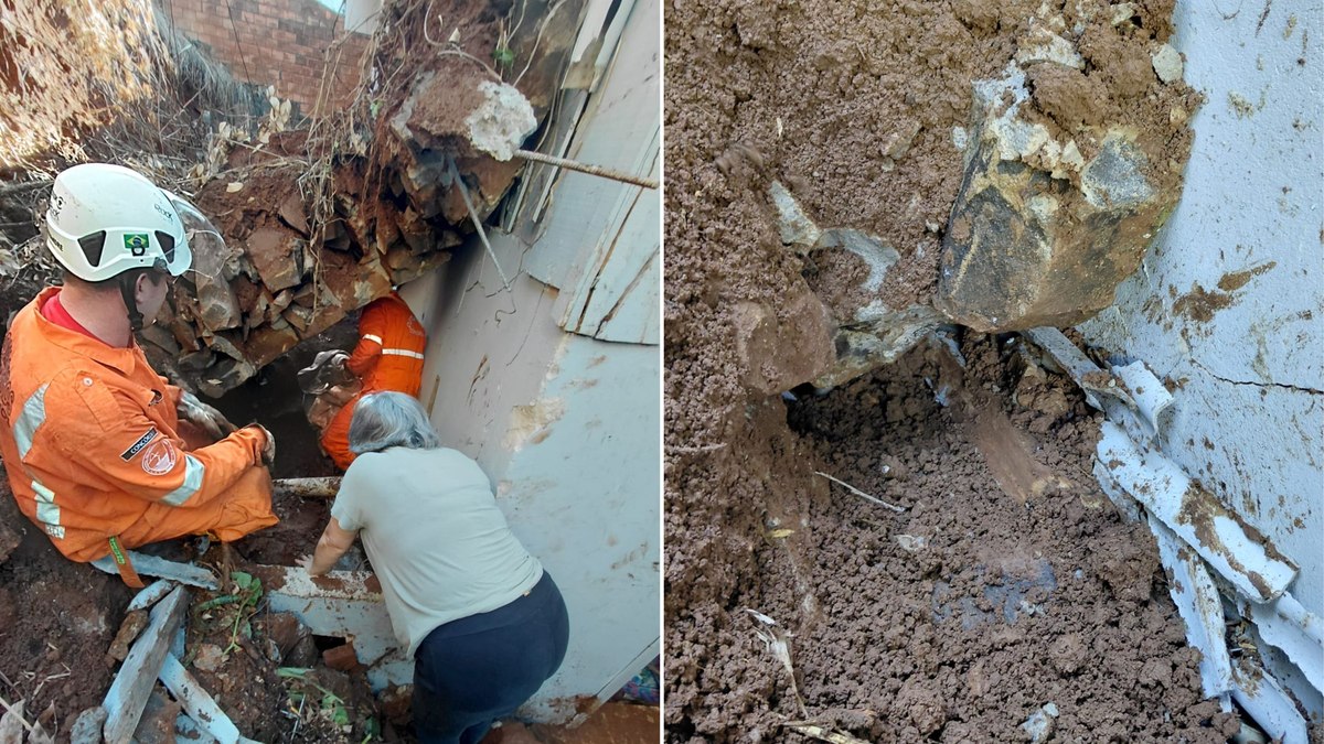Cachorro é resgatado com vida após 20 horas preso nos escombros