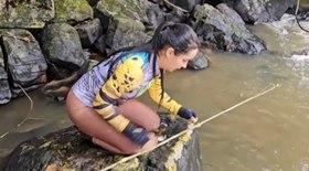Tubarão branco invade gaiola e causa pânico