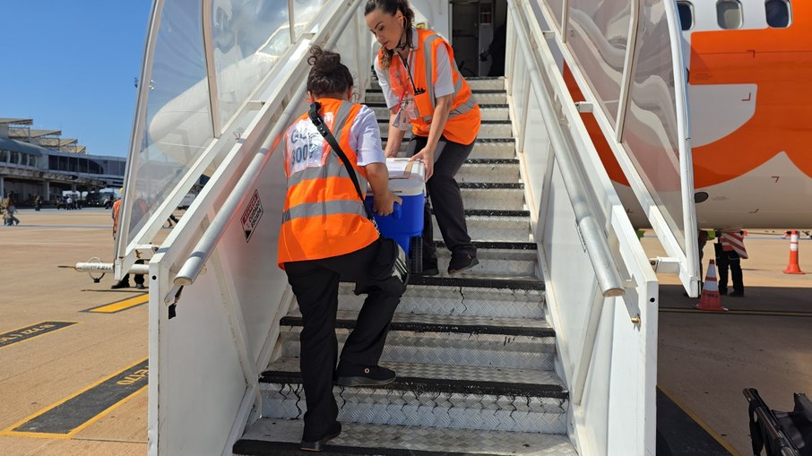 O Aeroporto de Goiânia registrou o transporte aéreo de 123 órgãos e tecidos entre janeiro e agosto de 2026.