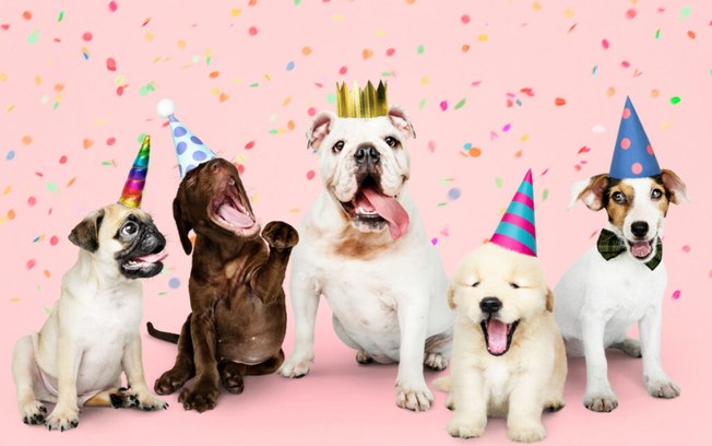 7 dicas para a festa de aniversário do seu cachorro