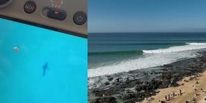 Susto! Presença de tubarão interrompe WSL; surfista filma animal