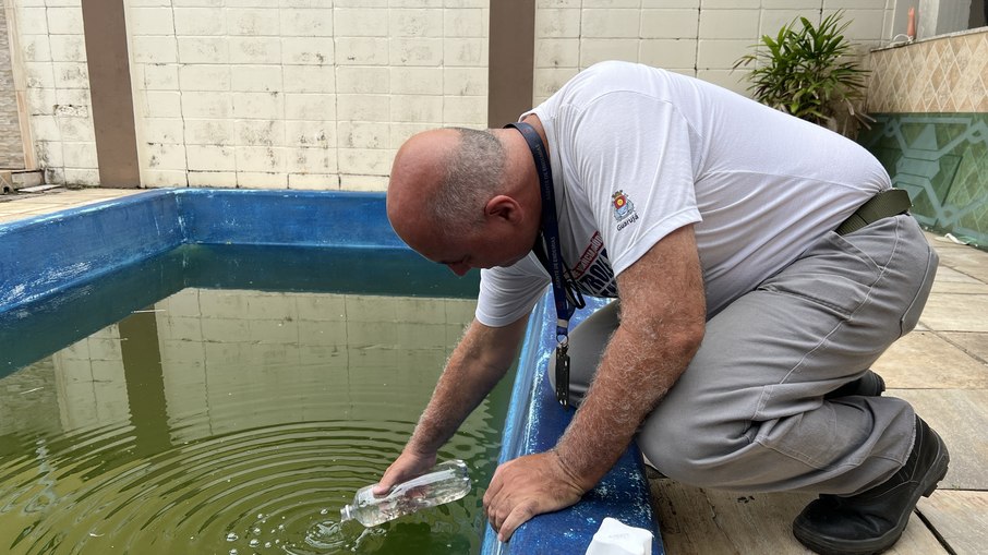 Peixes estão sendo deixados em locais estratégicos