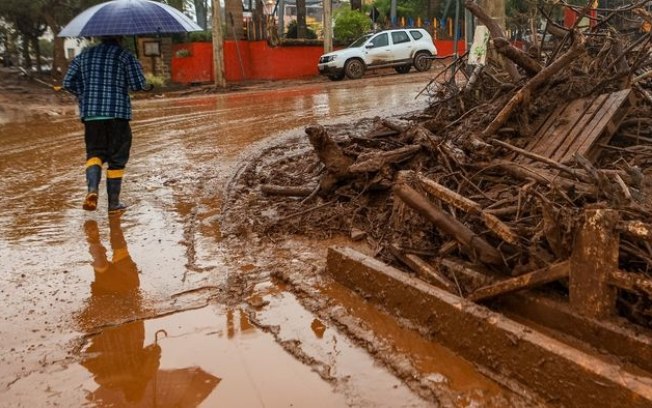 Enchente no RS: jacaré, piranhas e cobras assustam moradores