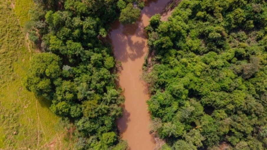 O volume acumulado de chuvas foi menos da metade do registrado no mesmo período de 2024 em Vinhedo O volume acumulado de chuvas foi menos da metade do registrado no mesmo período de 2024 em Vinhedo