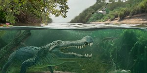 Crocodilo gigante que vivia no mar é descoberto por cientistas