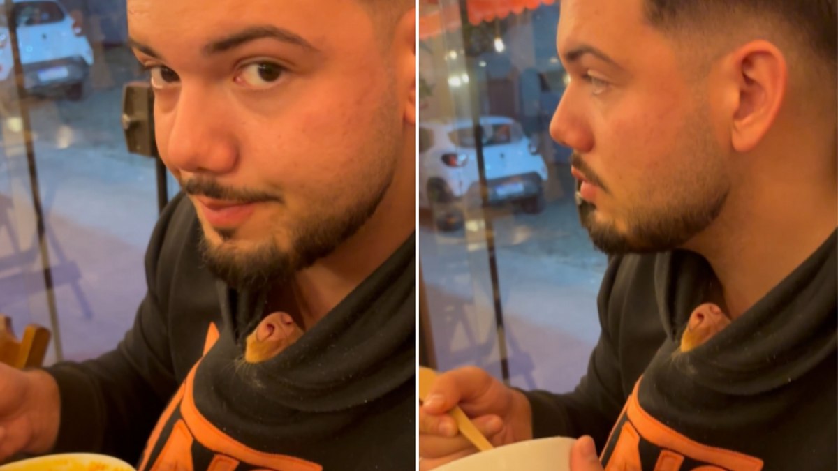 Cachorrinha se esconde em casaco para fugir do frio