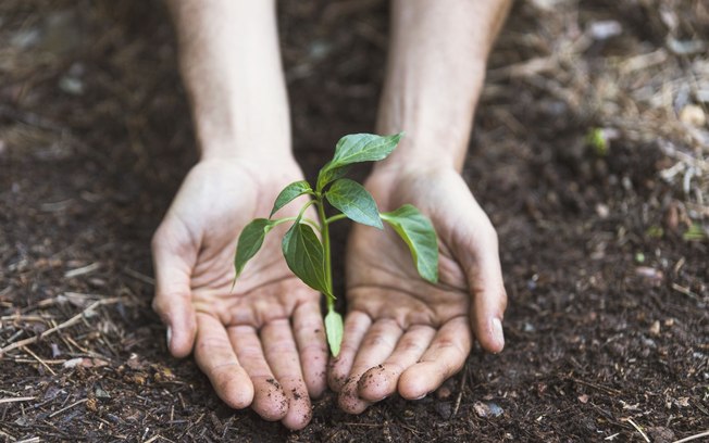 Projeto Viver Territórios promove workshops gratuitos
