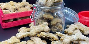 Bom pra cachorro: biscoito caseiro para pet é opção saudável para seu bichinho