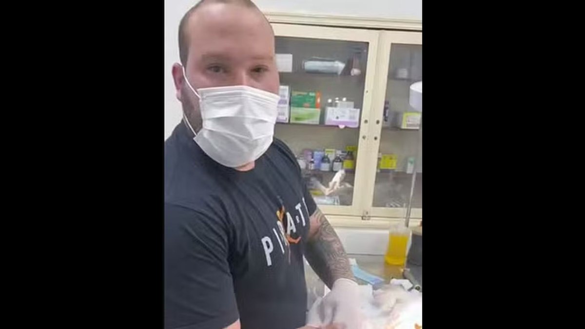Falso veterinário foi preso em flagrante enquanto operava um gato Falso veterinário foi preso em flagrante enquanto operava um gato