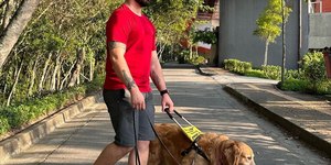Conheça Clark, cão guia que vem ganhando os corações no TikTok