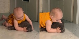 Bebês que convivem com gatos têm saúde reforçada
