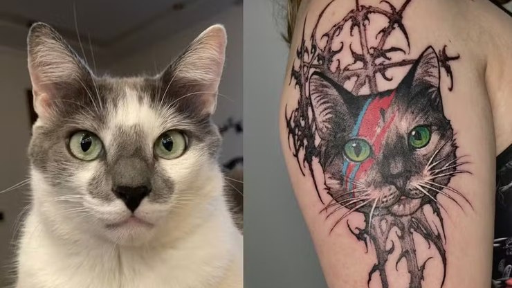 Homenagem: mulher usa cinzas do próprio gato em tinta de tatuagem