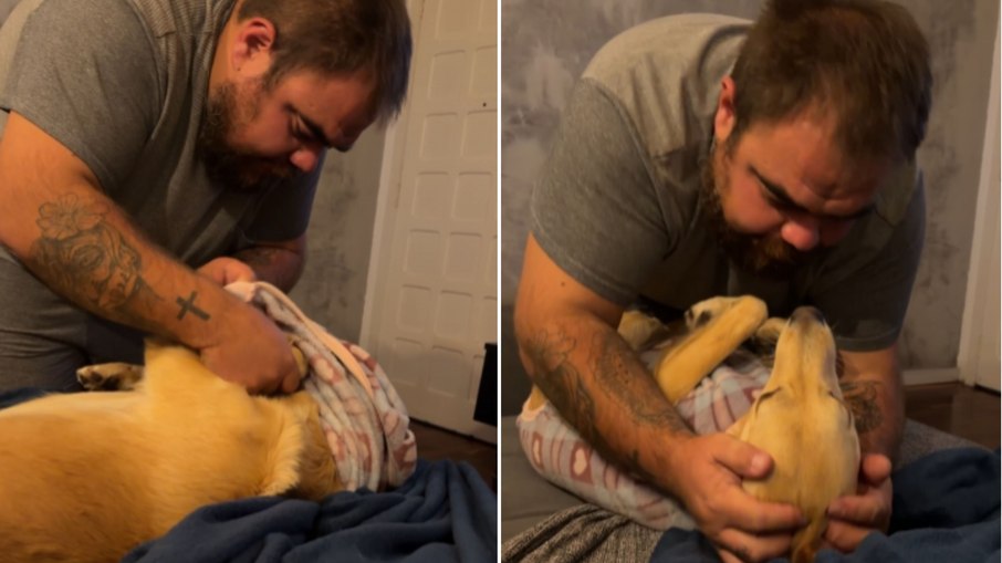 Antes de dormir, cachorrinhas ganham roupinha e carinho do tutor Antes de dormir, cachorrinhas ganham roupinha e carinho do tutor