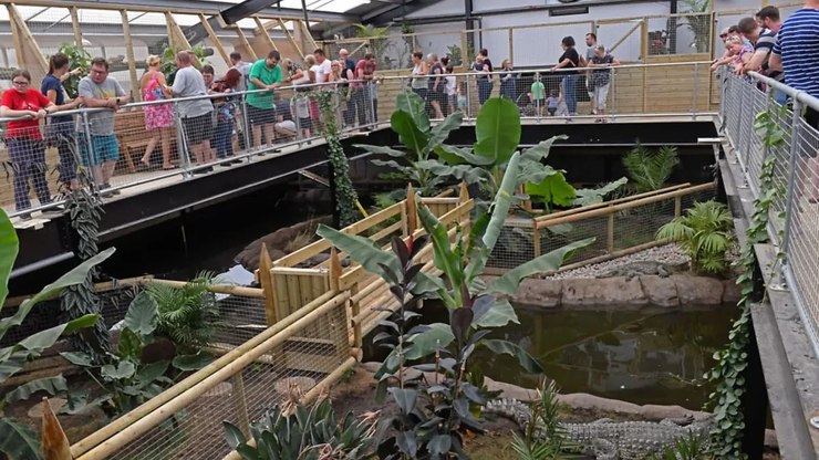 Menino de 3 anos é jogado em recinto de crocodilos de zoológico