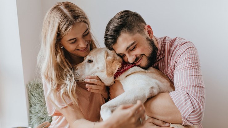 Nova resolução do CFMV redefine relação entre humanos e animais
