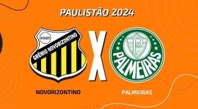 Novorizontino x Palmeiras: acompanhe o jogo ao vivo