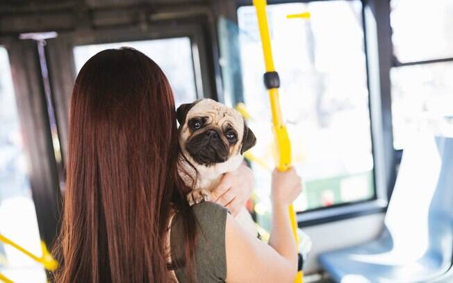 O transporte de animais em metrô, ônibus, trens e VLT possui alta aprovação das pessoas 