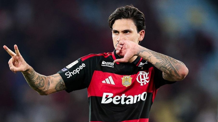 Pedro comemora gol marcado em Flamengo x Bragantino