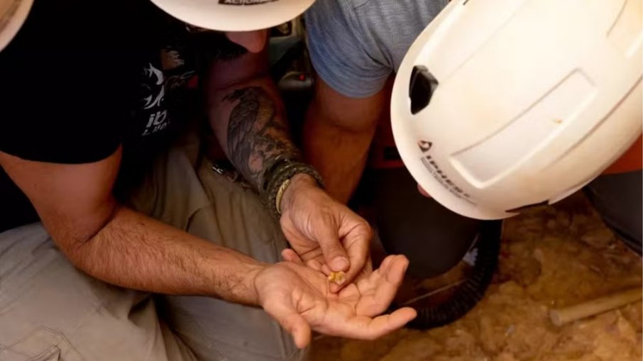 Momento da descoberta de um dente do Homo antecessor Momento da descoberta de um dente do Homo antecessor