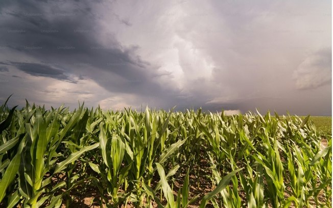 El Niño eleva desafio para a safra de verão