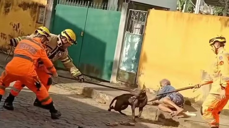 Idosa%20atacada%20por%20pitbull%20domina%20c%C3%A3o%20at%C3%A9%20chegada%20de%20ajuda
