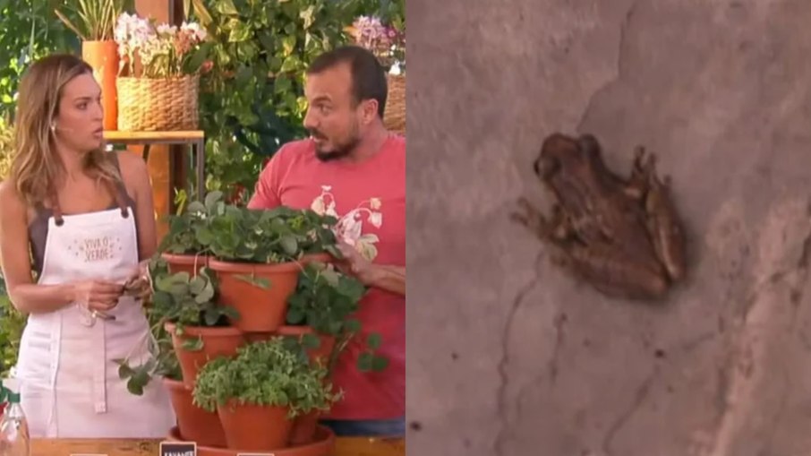 Talitha Morete se assusta com perereca