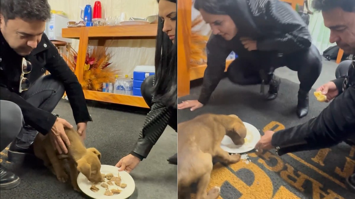 Zezé Di Camargo e Graciele Lacerda adotam cachorrinho em Minas Gerais