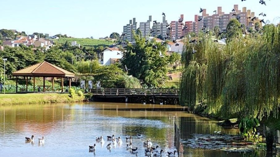 Parque das Águas é fechado após queda de árvores 