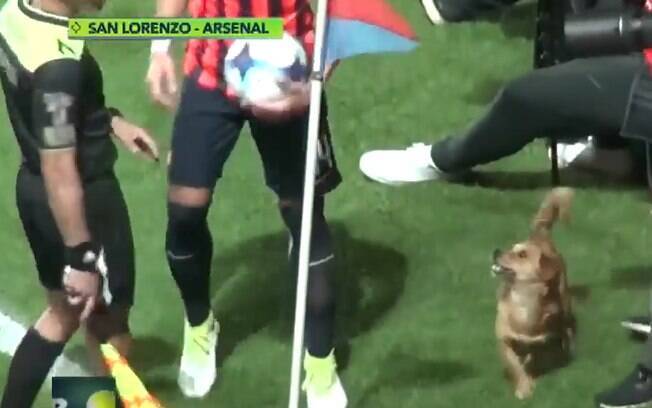 Cão invade jogo de futebol na Argentina e surpreende os jogadores e a torcida