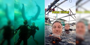 Luciano Huck e Benício mergulham com tubarões e Angélica reage