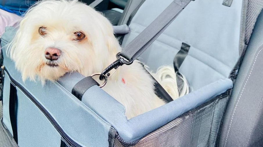 Cadeirinha de cachorro para carro