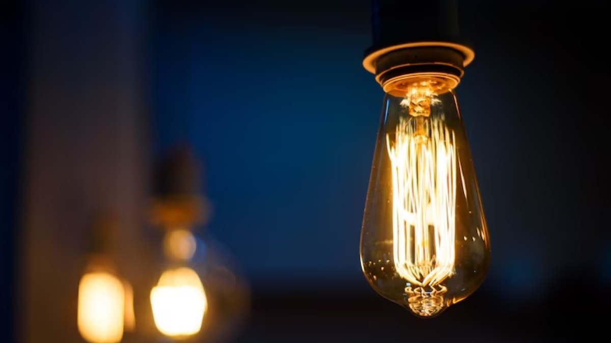 A escassez hídrica afeta setores agrícolas e pecuários A escassez hídrica afeta setores agrícolas e pecuários