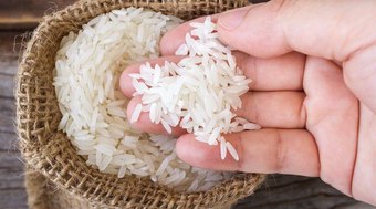 Justiça do RS derruba liminar e mantém leilão de compra do arroz 