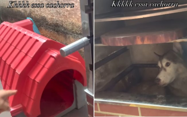 7ixigra9xx3omwm5iv2g4cuq2