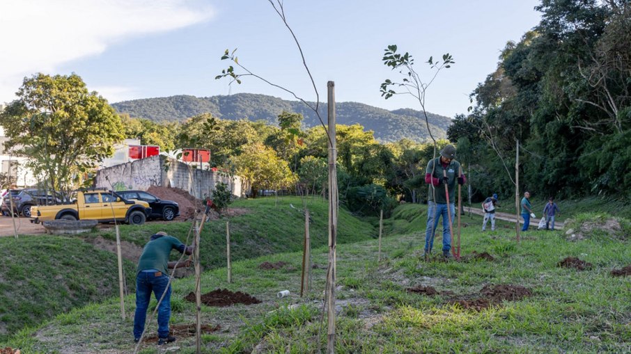 Ação conjunta amplia a cobertura vegetal e fortalece a preservação ambiental na Vila Maringá