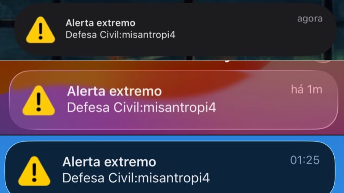 Print mostra o alerta falso enviado a celulares de diferentes estados Print mostra o alerta falso enviado a celulares de diferentes estados
