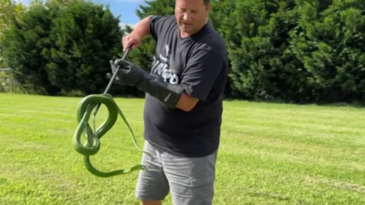 Mamba-verde mata o próprio youtuber que filmava a serpente