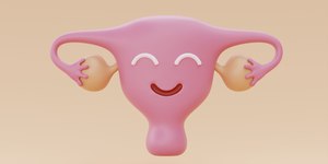 Conheça como funciona a lei que facilita a laqueadura pelo SUS