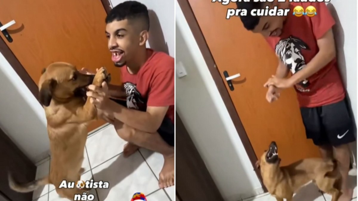 Cão adotado para dar suporte a autista vira ‘dupla de bagunça’