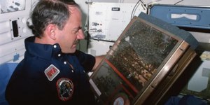 Experimento da NASA levou 3.300 abelhas ao espaço
