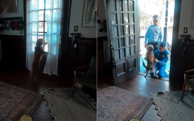 7k4hmnuh95toa86wp1amu7dus