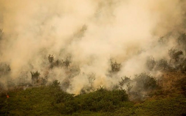 Governo vai liberar R$ 100 mi para combate a incêndios no Pantanal