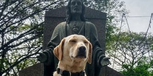 Spike: o único animal sepultado no Cemitério da Consolação