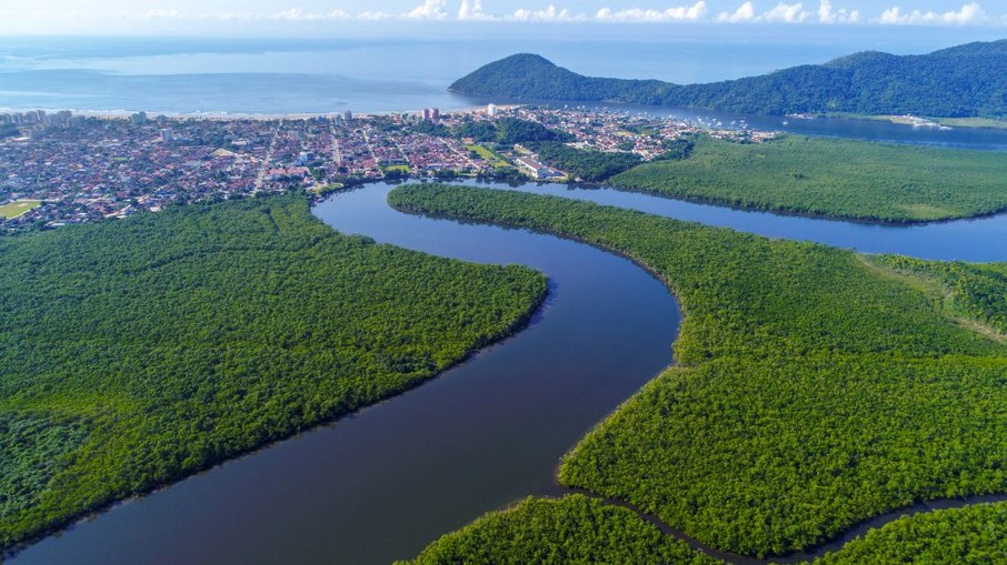 Mata Atlântico e a cidade de Bertioga Mata Atlântico e a cidade de Bertioga