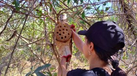 Anuário da cachaça é lançado em Brasília; são 7.200 registros