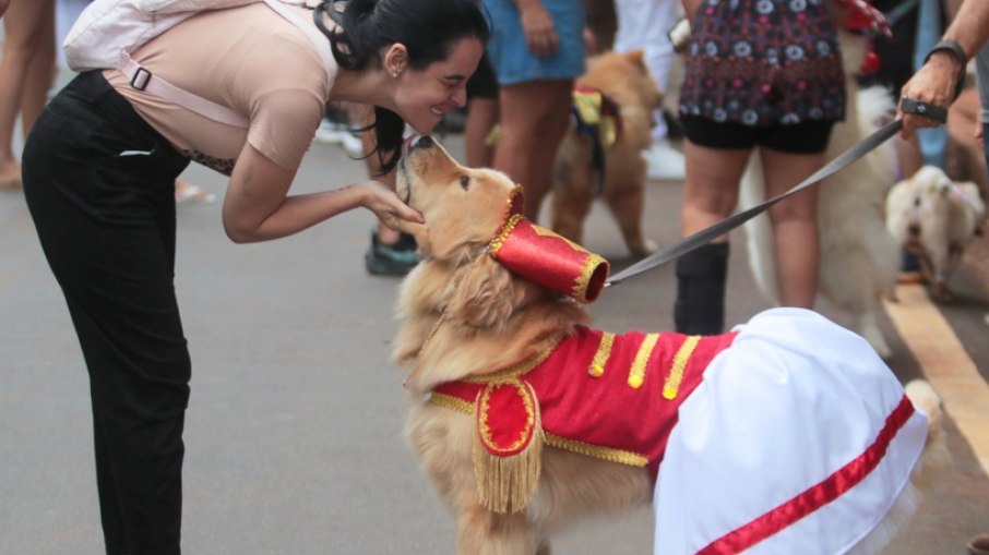 Os filhos de quatro patas também marcam presença nos blocos de Carnaval