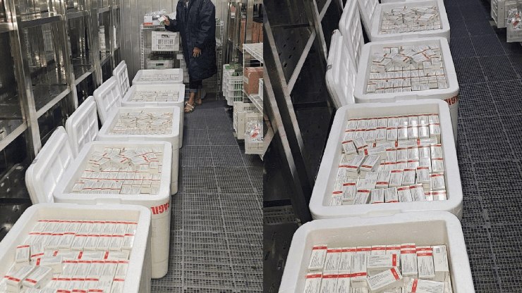 Interior de São Paulo dá largada à vacinação contra chikungunya