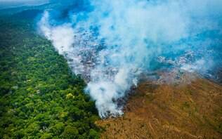 Estudo mostra que as é o estado com maior área de terras públicas  'sem destinação' na Amazônia Legal, as